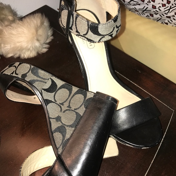 Coach platform - Picture 4 of 5